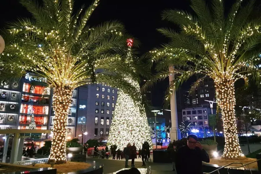 arboles de navidad de union square